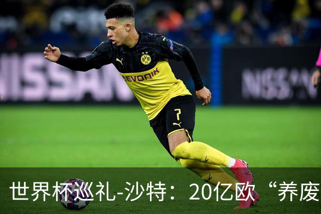 世界杯巡礼-沙特：20亿欧“养废”国家队，临阵换帅难有奇迹