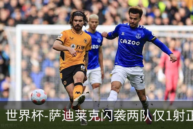 世界杯-萨迪莱克闪袭两队仅1射正 捷克半场暂1-0南非