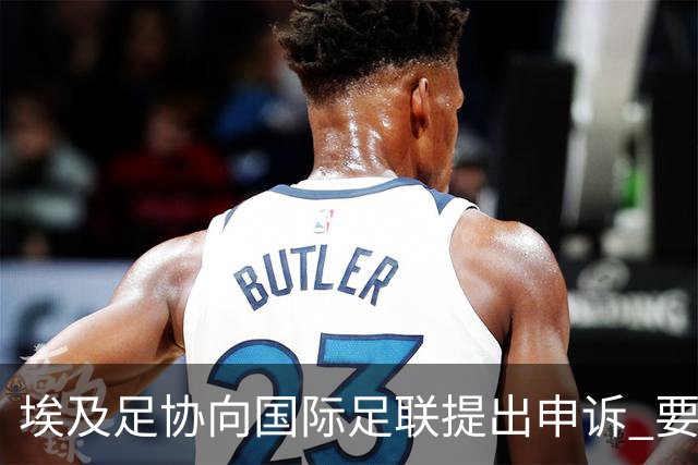 埃及足协向国际足联提出申诉 要求调查主裁的严重误判