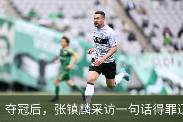 夺冠后，张镇麟采访一句话得罪辽宁，辽蜜：有本事到四川证明价值