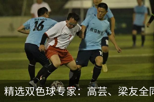 精选双色球专家：高芸、梁友全同中二等279万！